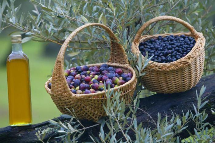 Le Lavandin Lorgues Ngoại thất bức ảnh